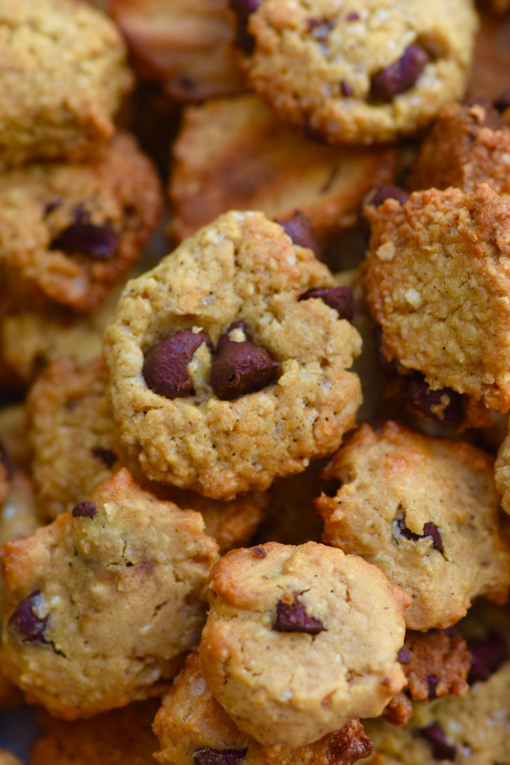 Healthy mini protein cookie cereal