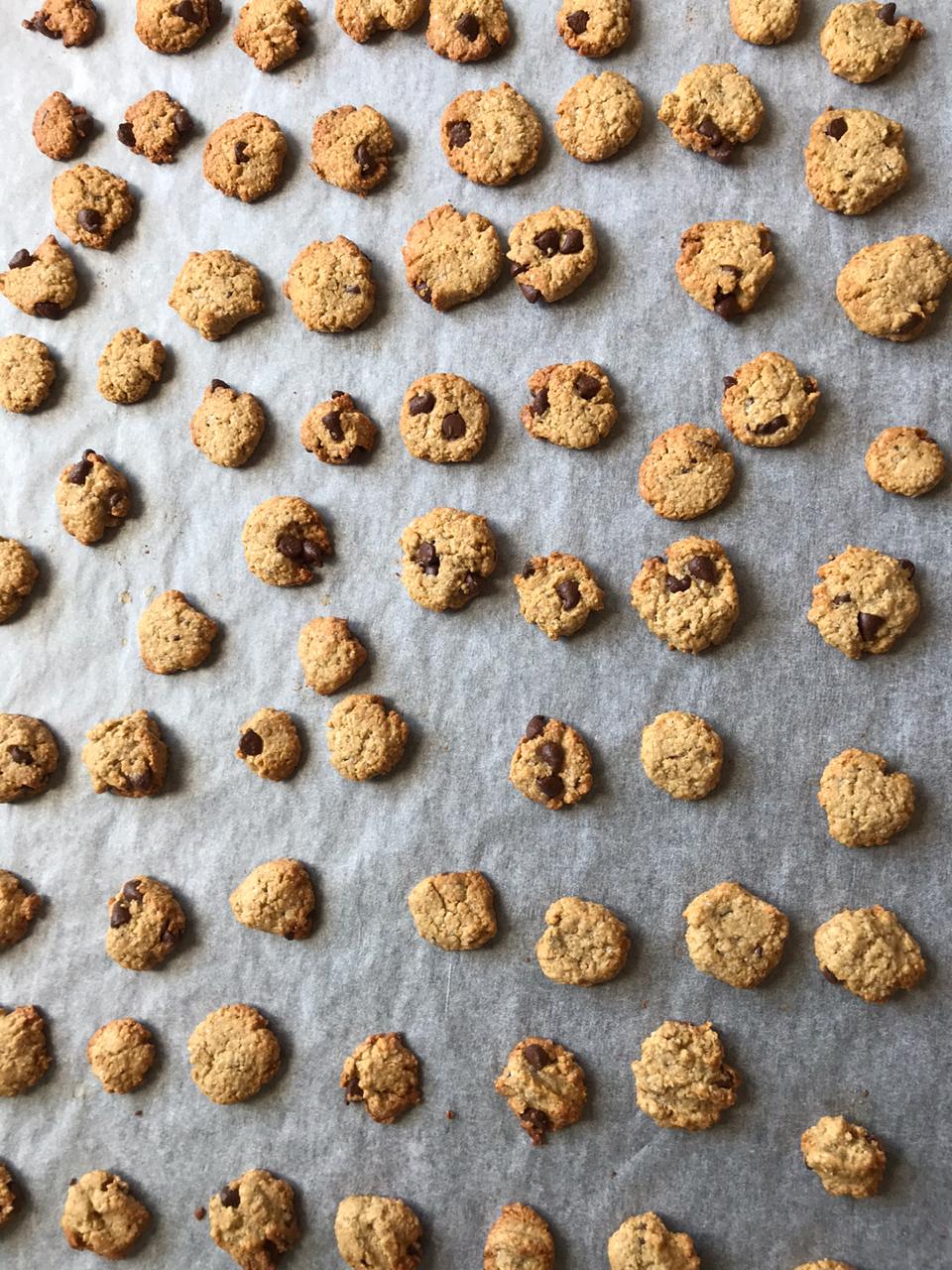 Mini cookie cereal straight out oven on baking tray