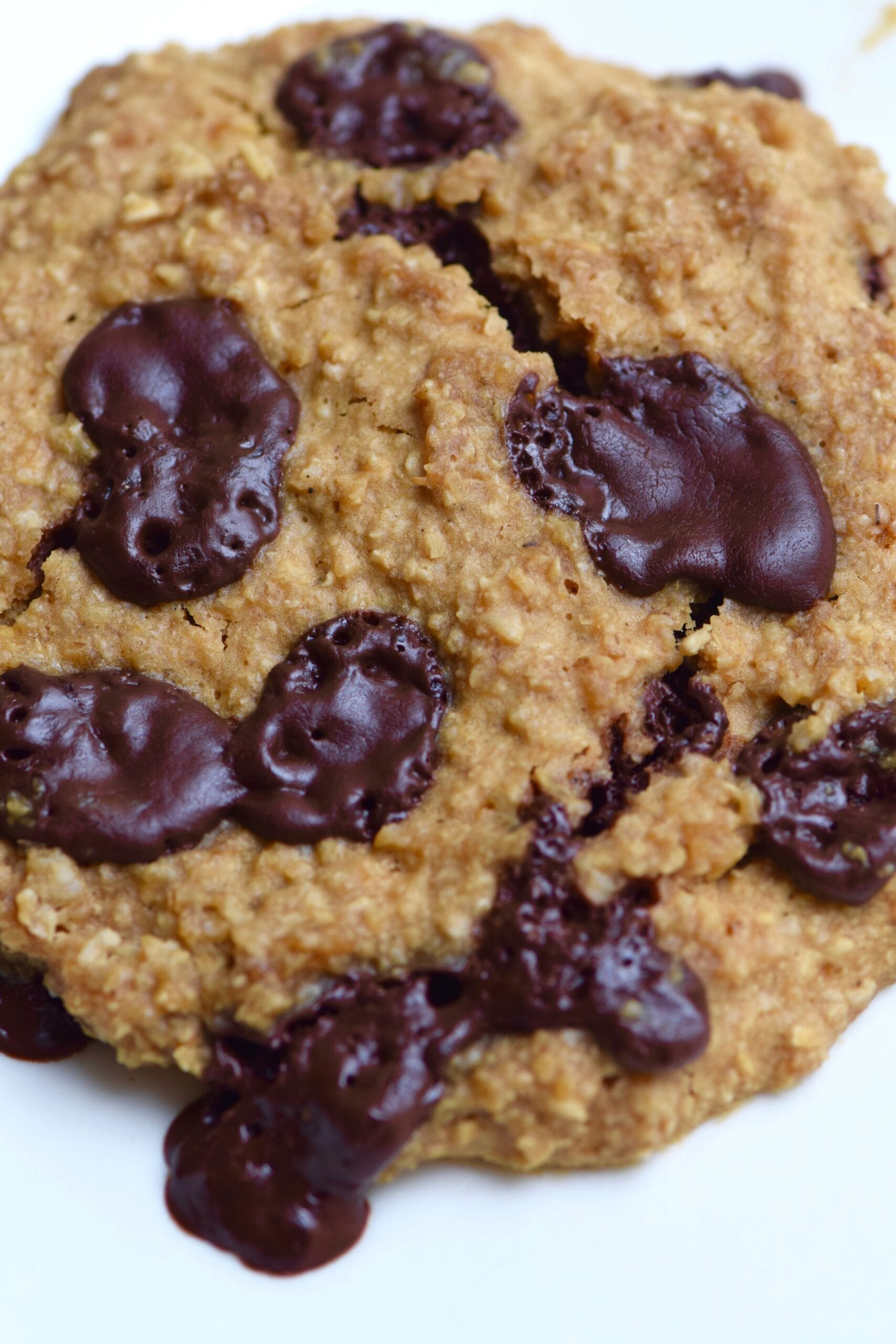 Single serving oatmeal dark chocolate cookie