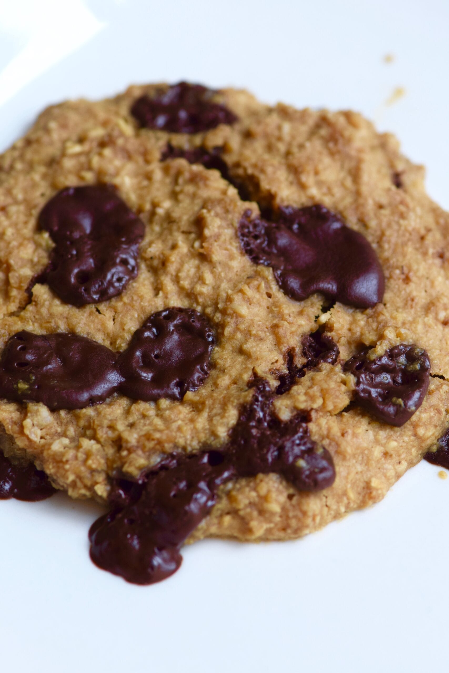 Single serving oatmeal dark chocolate cookie