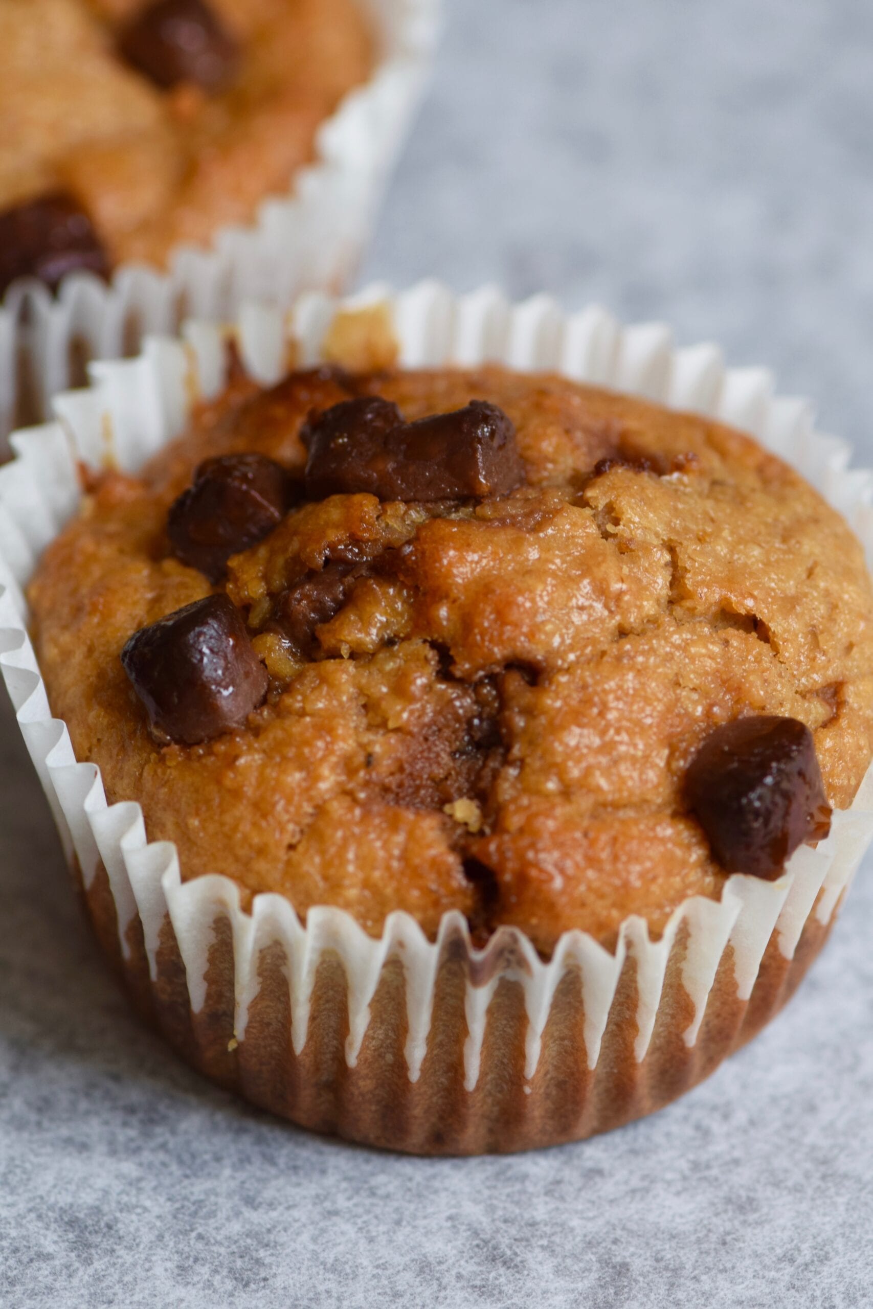 Chocolate chip healthy oatmeal breakfast muffins