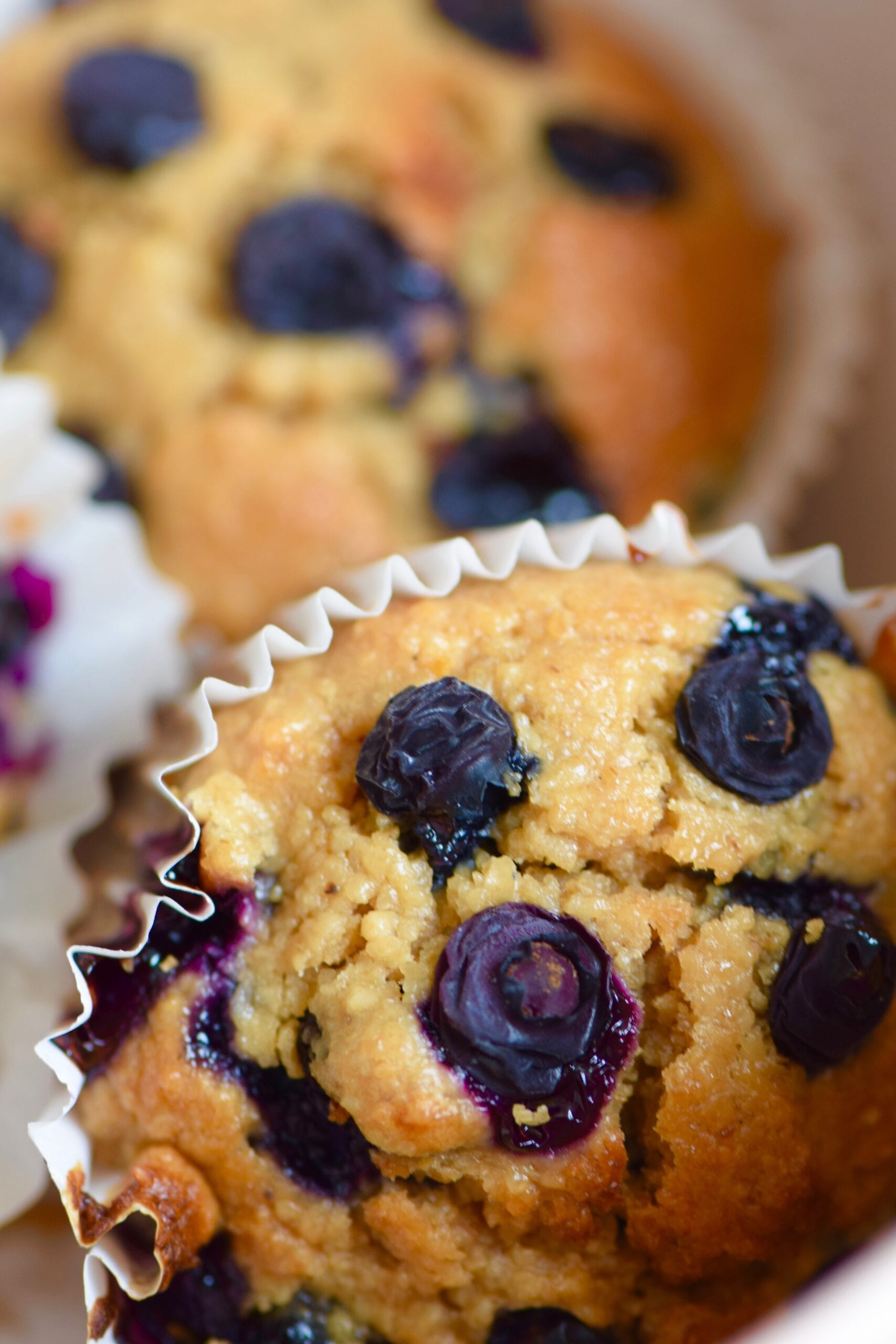 Blueberry Oatmeal breakfast muffins