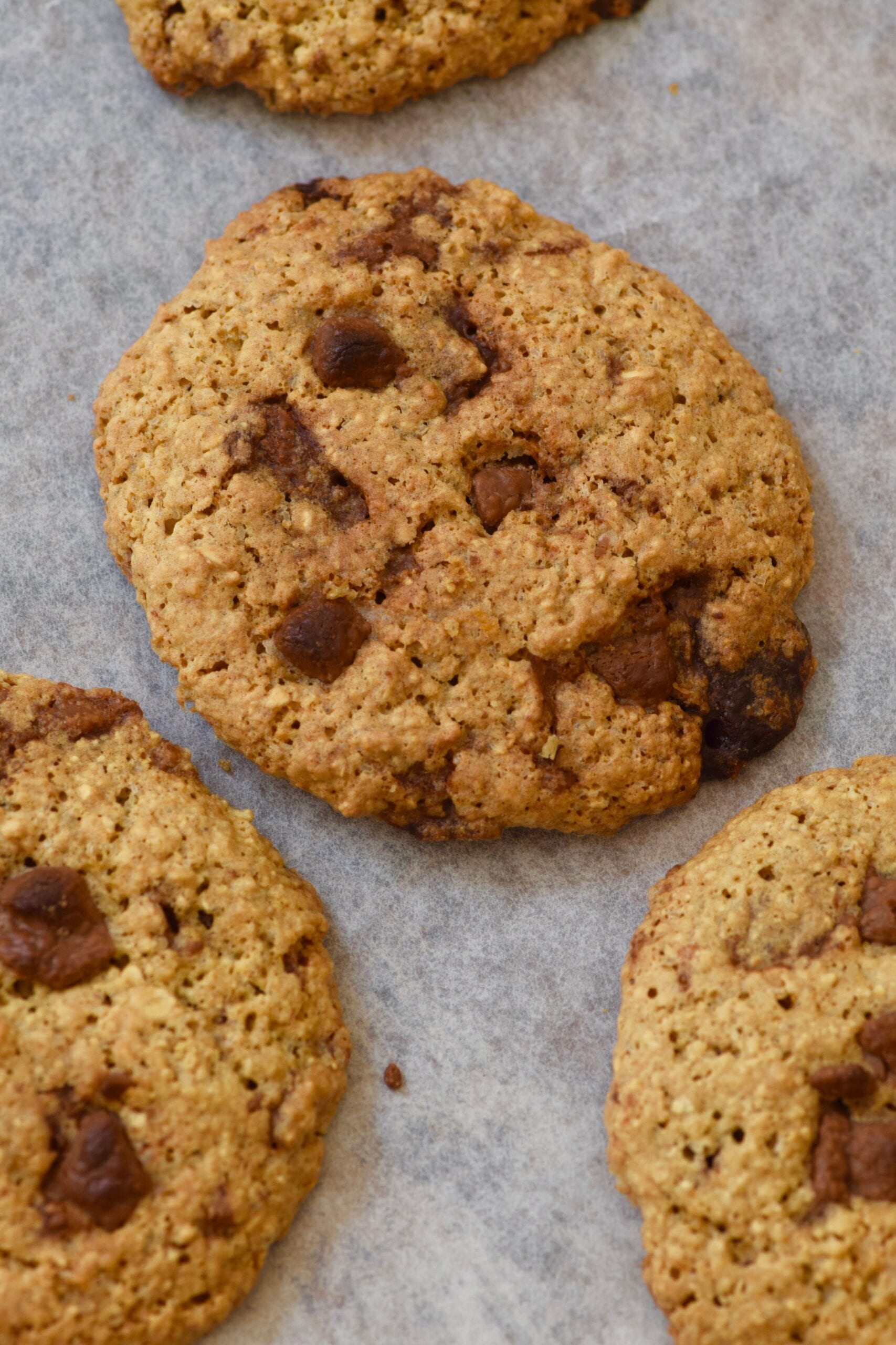 The best chocolate chip cookies fresh out the oven