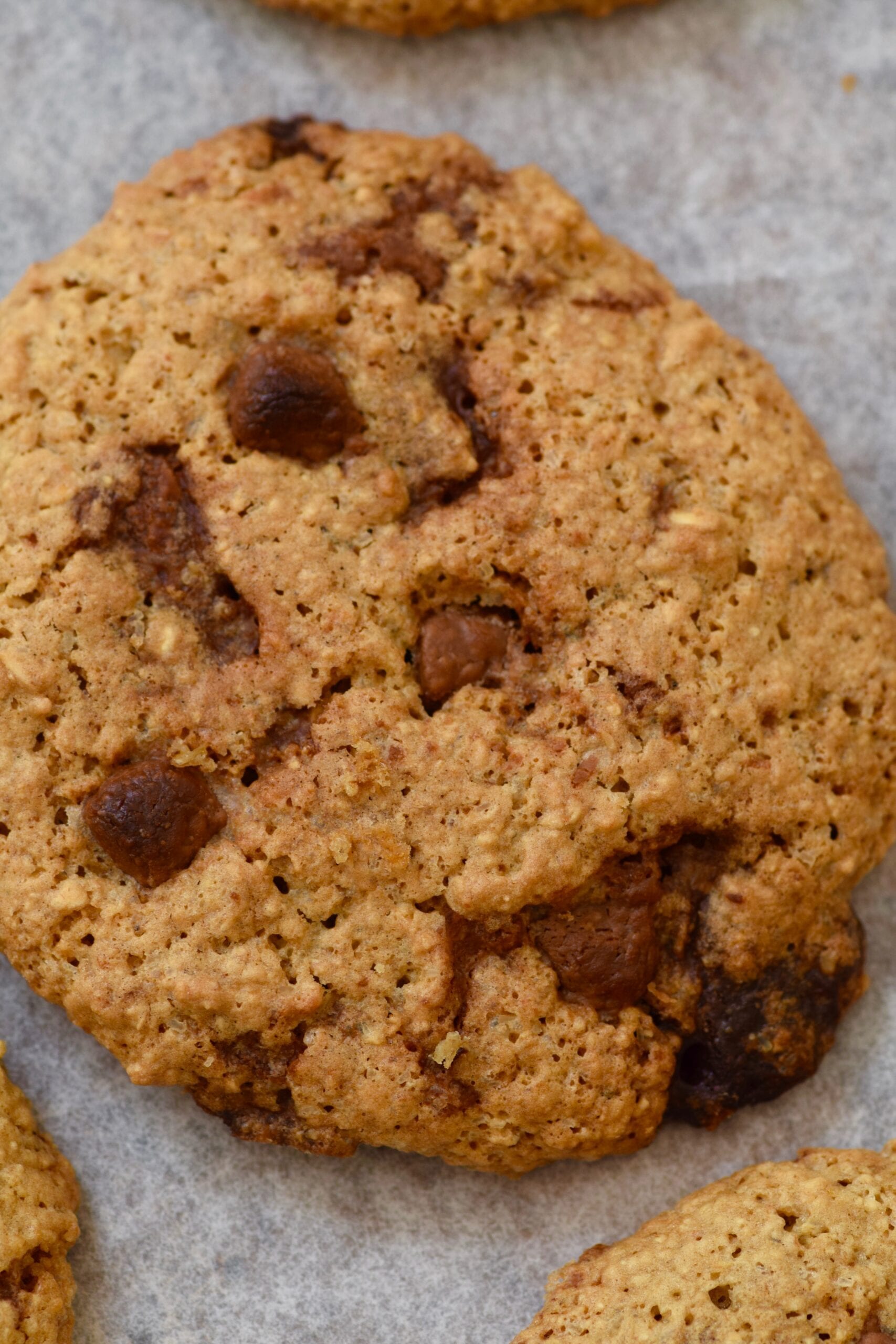 The best chocolate chip cookies