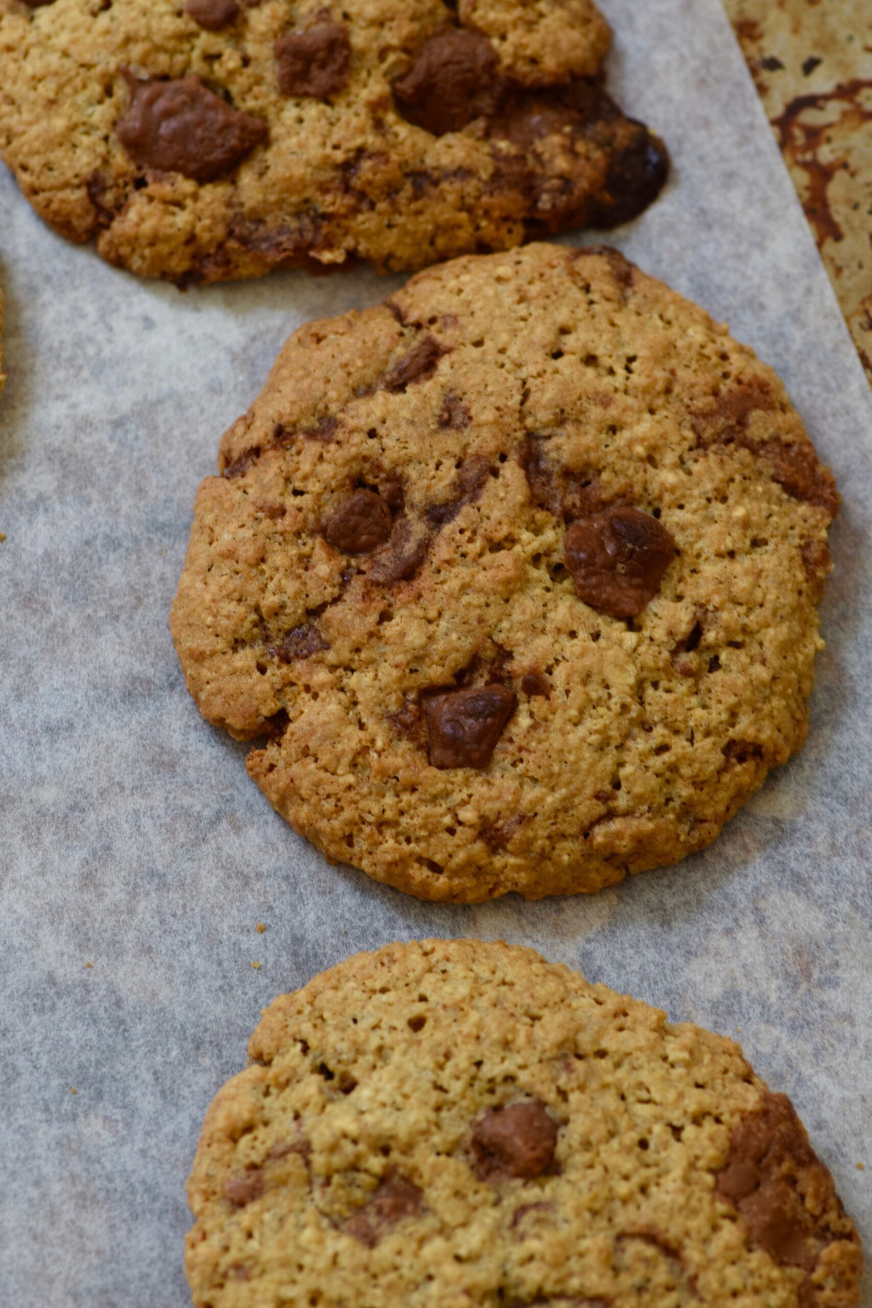 The best chocolate chip cookies freshly baked