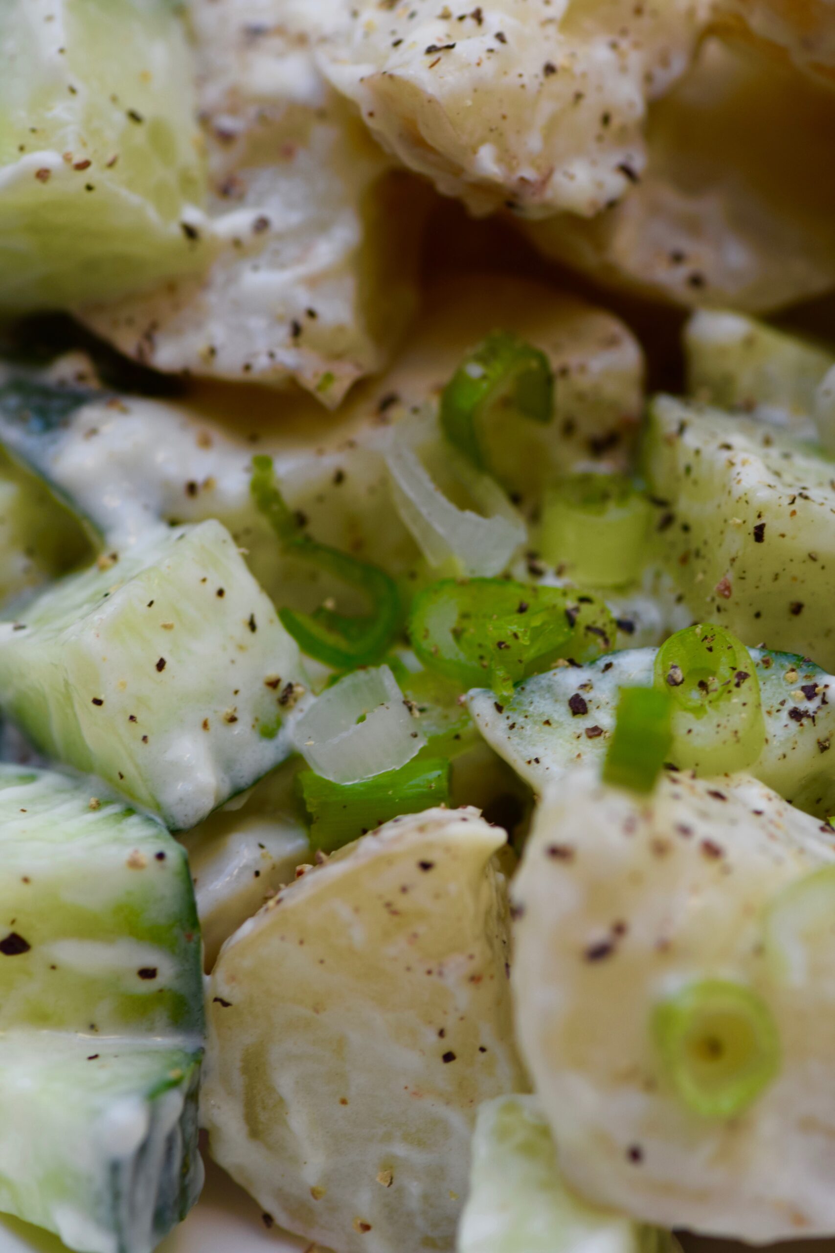 hearty cucumber and potato salad with spring onion