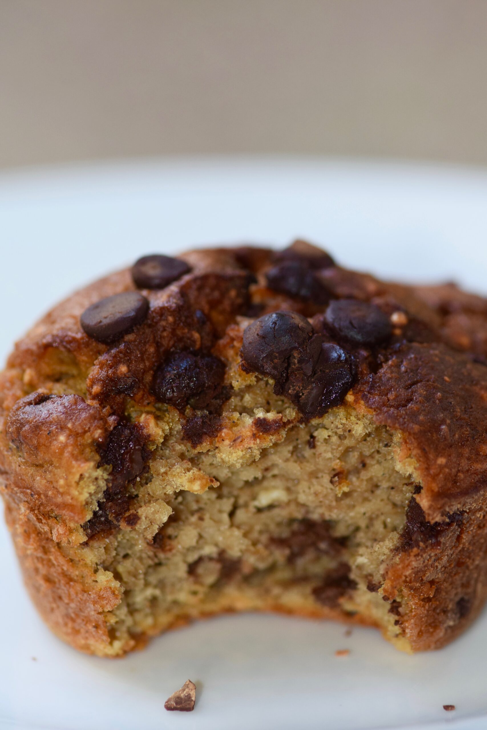 Chocolate chip protein pumpkin muffins