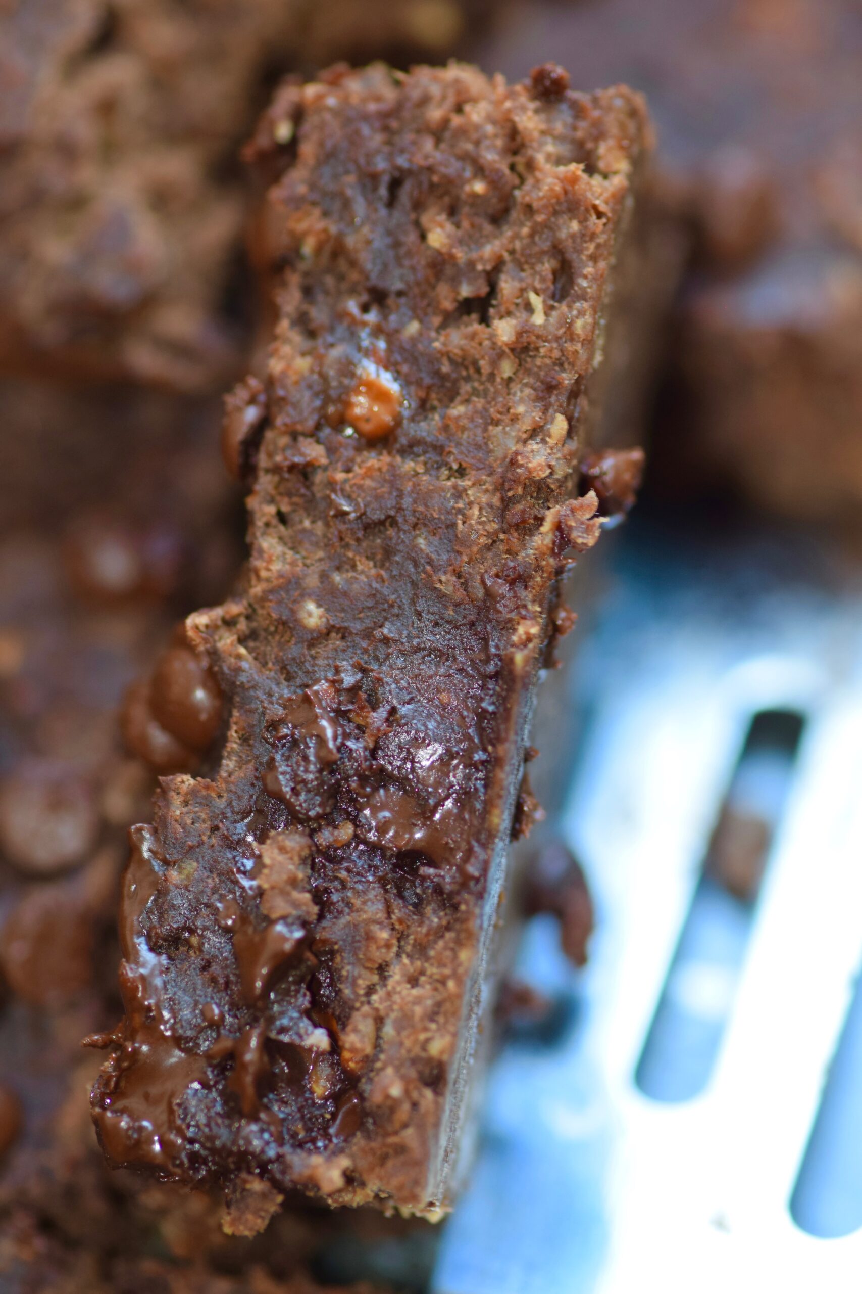 Oatmeal breakfast brownies